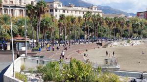 AAARadunoSalerno2026 13