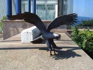 2010.06.27_Bracciano_VignaDiValle_003